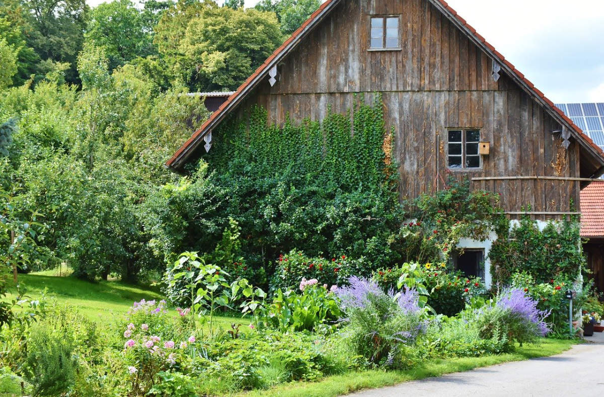 Avenir est aux bâtis anciens