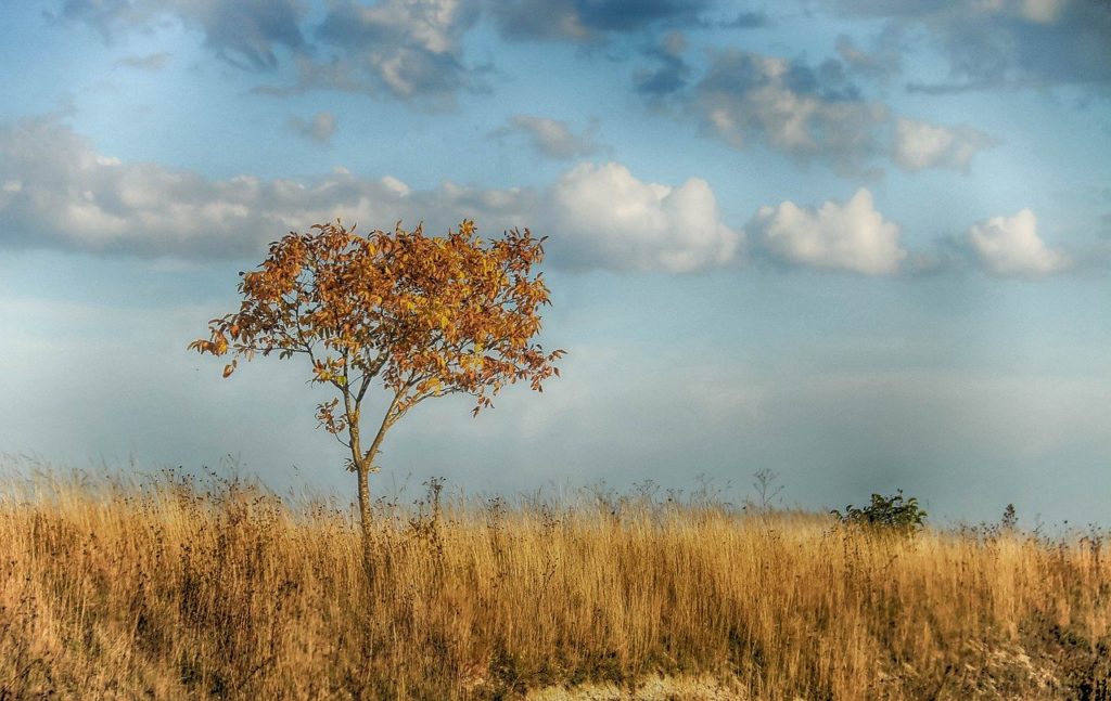 Climat et environnement