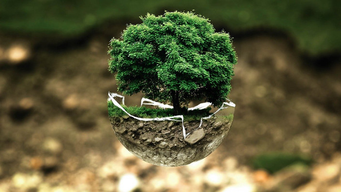 Construire ou rénover en respectant l'environnement